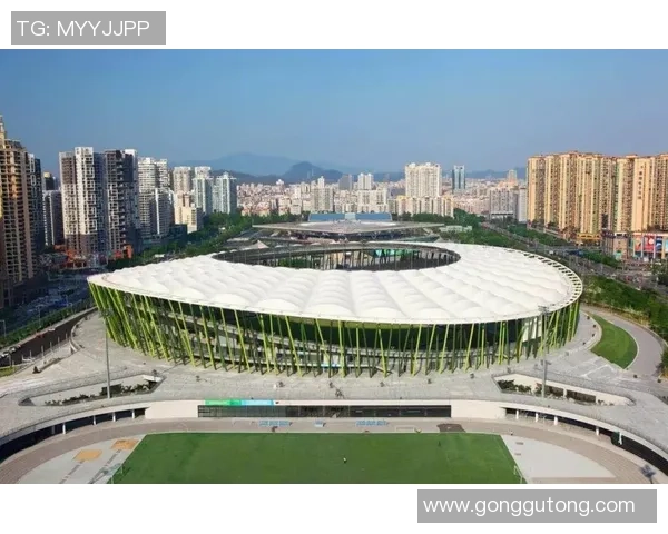 深圳排球队实力飙升再创佳绩引领排球新风潮