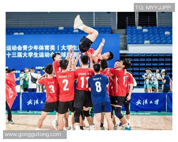 武汉排球队防守体系解析：排球战术的创新与实践探讨